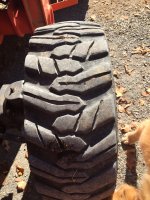 IMG_0315.JPG IMG_0315.JPG
