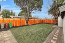 Neighbor New Fence and Oak Tree..jpg