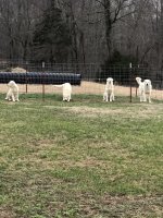 IMG_7522.jpeg