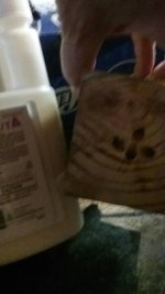 20190508_150907.jpg