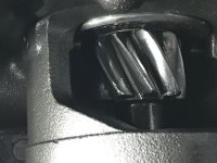 IMG_7273.jpg