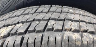 20190413_105218.jpg
