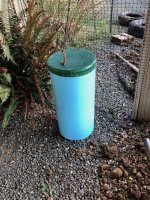 IMG_2492.jpeg