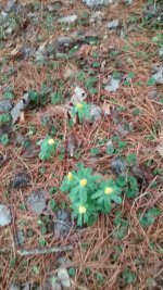 20190212_121356.jpeg