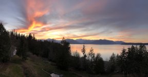 IMG_2495.jpeg