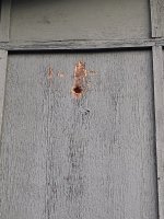 IMG_4557.jpg
