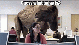 IMG_3949.gif