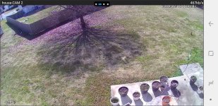 Screenshot_20190213-115247_Amcrest View Pro(1).jpg