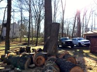 IMG_4082.JPG