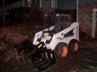 814678-bobcat2.JPG