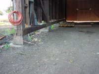 698768-SwallBase.jpg