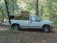 738214-MVC-046S.JPG