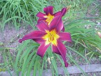 698900-MVC-683F.JPG