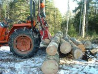 857404-Log06aa.jpg