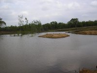 857650-edwinpondisland1.JPG