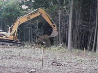 699348-dig (Small).jpg