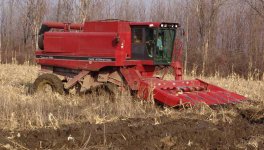815711-Muddy.jpg