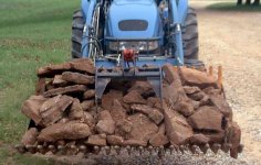 871133-gotrocks1[2].jpg
