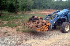 871134-gotrocks2[2].jpg