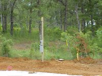 859153-powerpole2.jpg