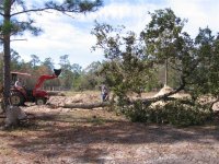777934-IMG_0098 (Small).JPG