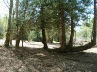 871785-small2.JPG