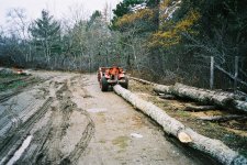 F1000022 - Copy.JPG