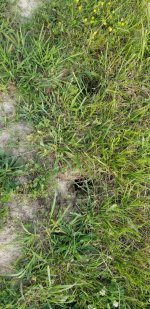 20190601_185031.jpg 20190601_185031.jpg