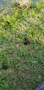 20190601_180416.jpg 20190601_180416.jpg
