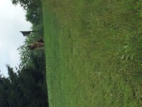 IMG_0591.JPG