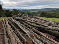 timber.jpeg timber.jpeg