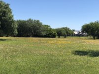 IMG_0576.jpg