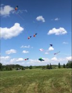kite fest.jpg