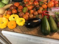 IMG_1663.JPG