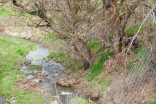 DSC_1889.JPG