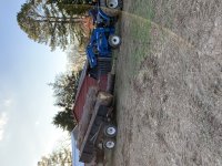 IMG_0117.JPG
