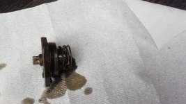 20190604_165949.jpg