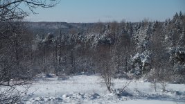 DSCF0483.JPG