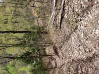 20190413_145233.jpeg