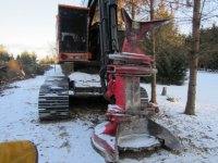 tree clearing day 3 019_1.JPG