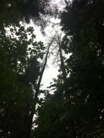 8C23E07D-758C-47B2-B735-4126DE62B9ED.jpeg