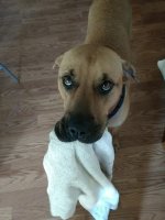 KishaWithTowel.jpg