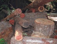 wood4sale_2.jpg