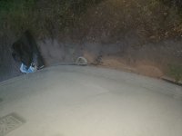 20190606_194543.jpg