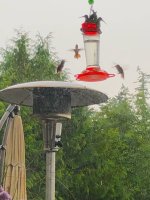 IMG_2789.jpeg