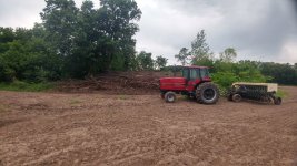 tree removal 1.jpg