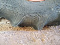IMG_20190608_071205016.jpg