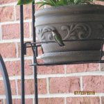 IMG_8408.JPG