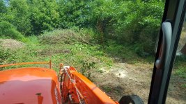 Resized_20190704_101755.jpeg
