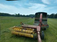 summer hay 1.jpg
